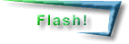 Click here for Flash-y armadillos