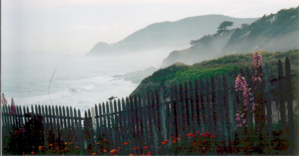 Morning at Pt. Montara