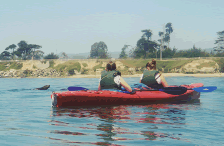 Kayaking in Santa Cruz