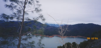 lakeshasta