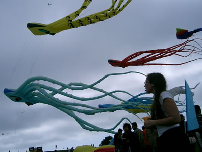 Berkeley Kite Festival